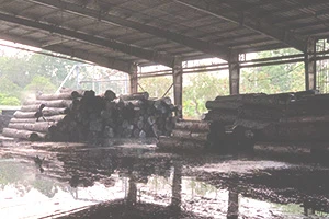 Víetnam tekur meiri innflutningshlut af amerískum harðviði